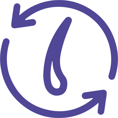 Repara
