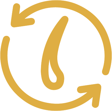 Repara